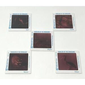 Vintage Walt Disney World Powers of the Everglades Epcot Center Pana-Vue Slides